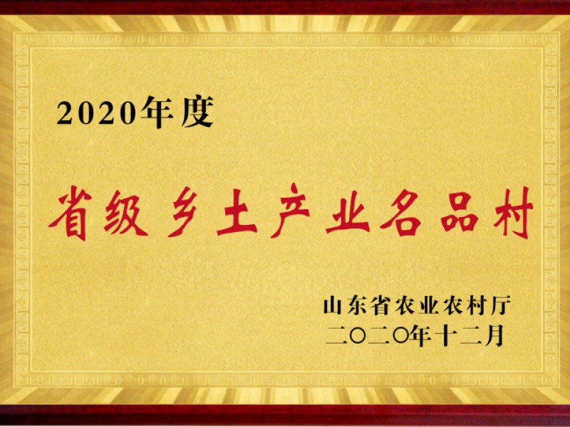2020年度省级乡土产业名品村